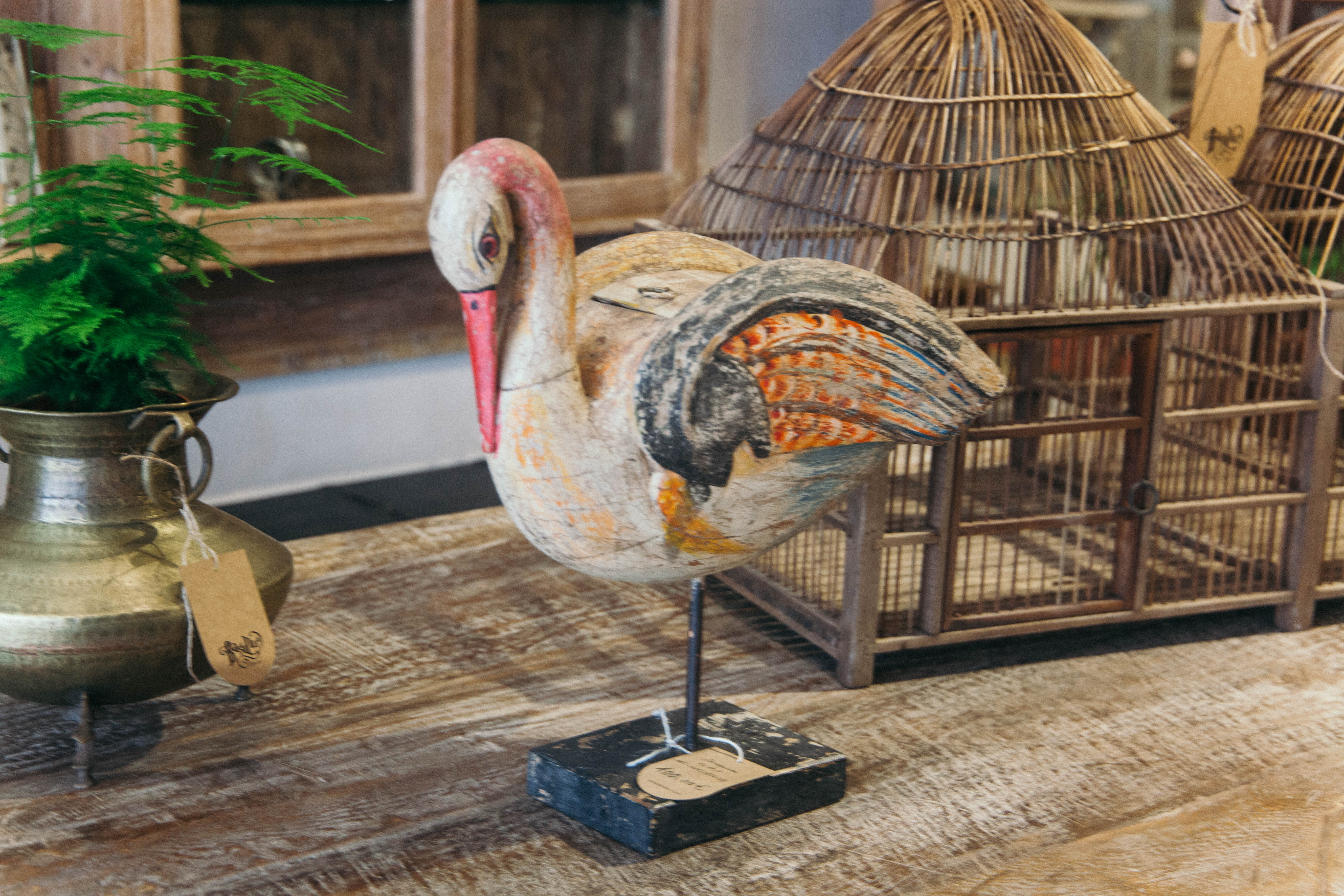 Pájaro ALKA: imagen 1