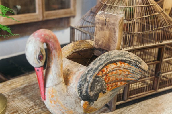 Pájaro ALKA: imagen 2