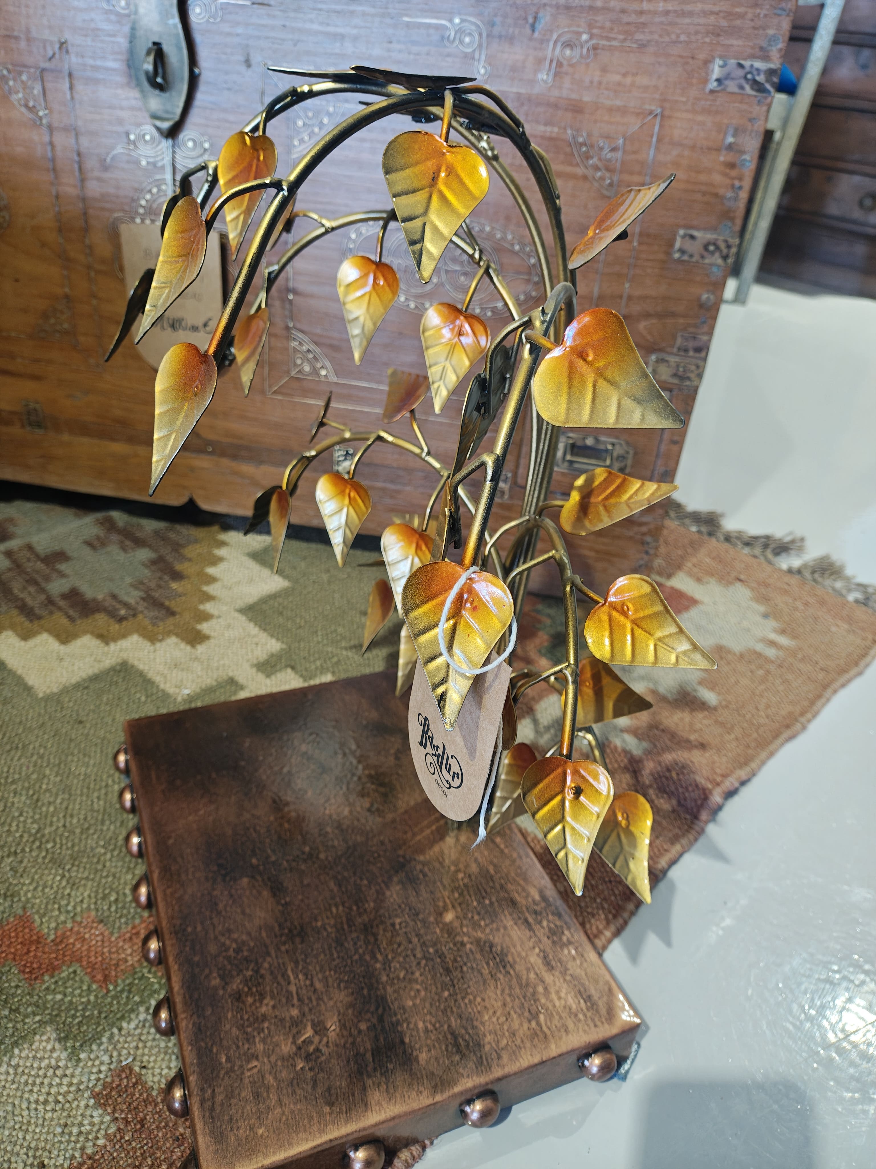 Árbol Maravu: imagen 1